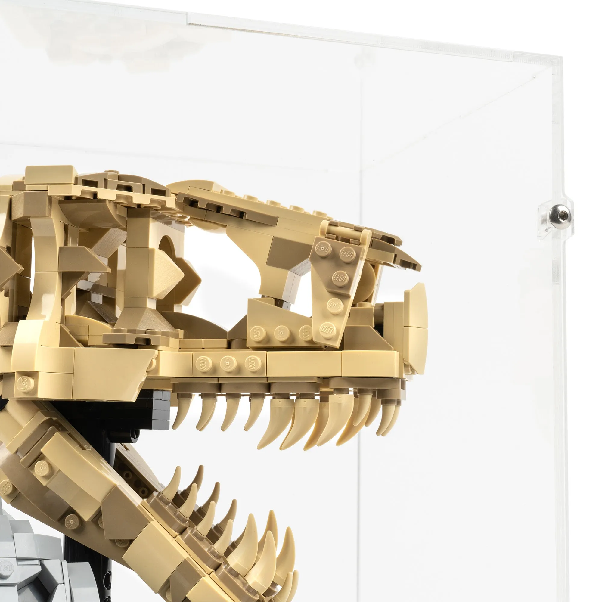 LEGO® Dinosaur Fossils: T. rex Skull Display Case (76964)